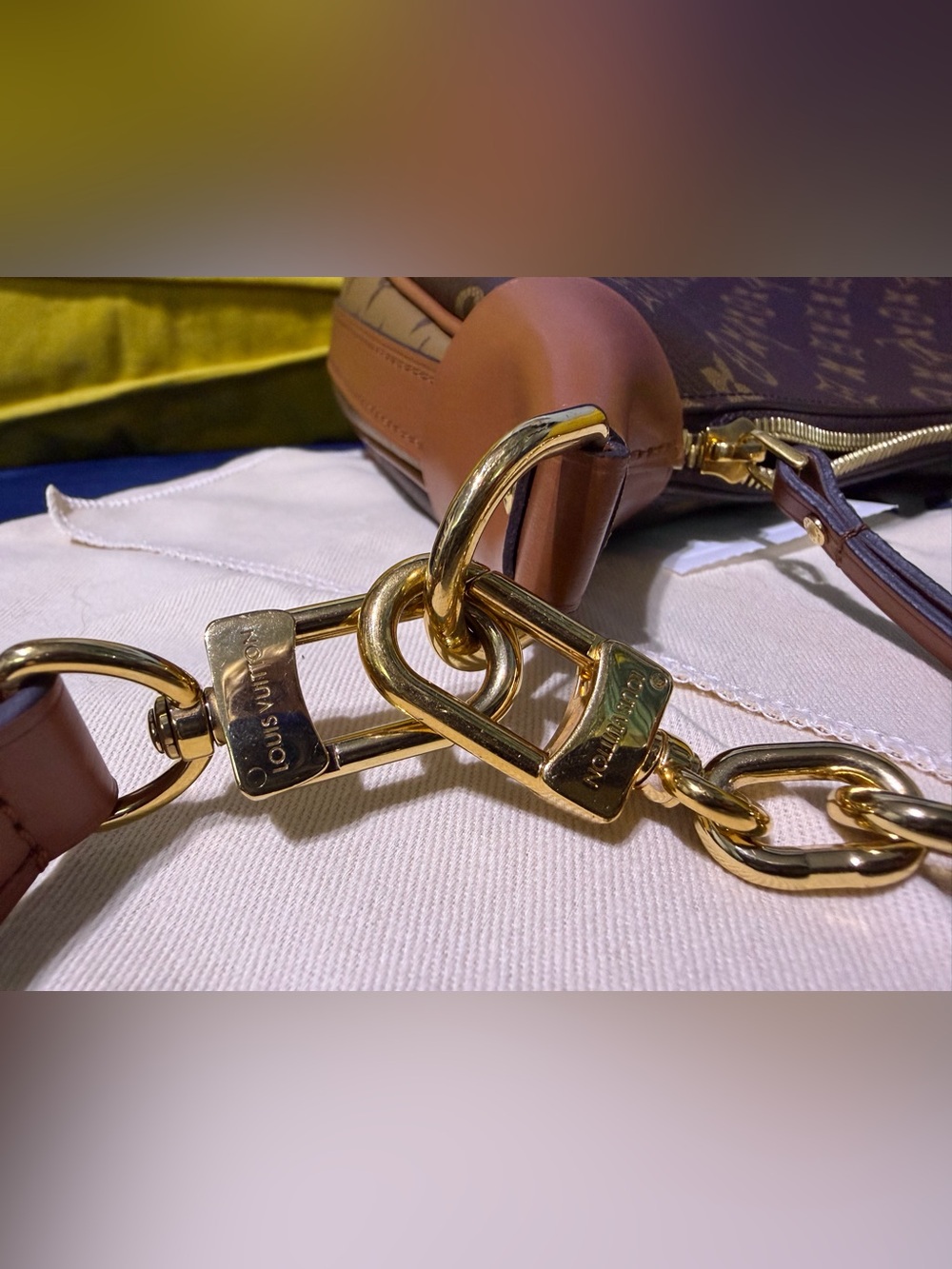 Louis Vuitton Loop Hobo in Monogram - Picture 12 of 16